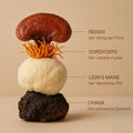 The Mushroom Elixir - Bio Mushroom Coffee
