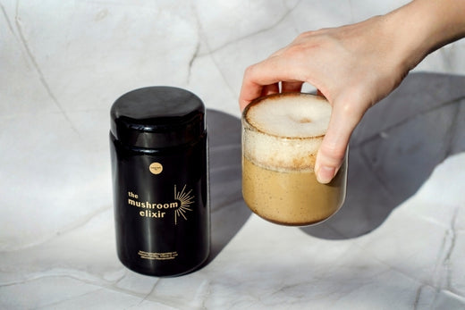The Mushroom Elixir
