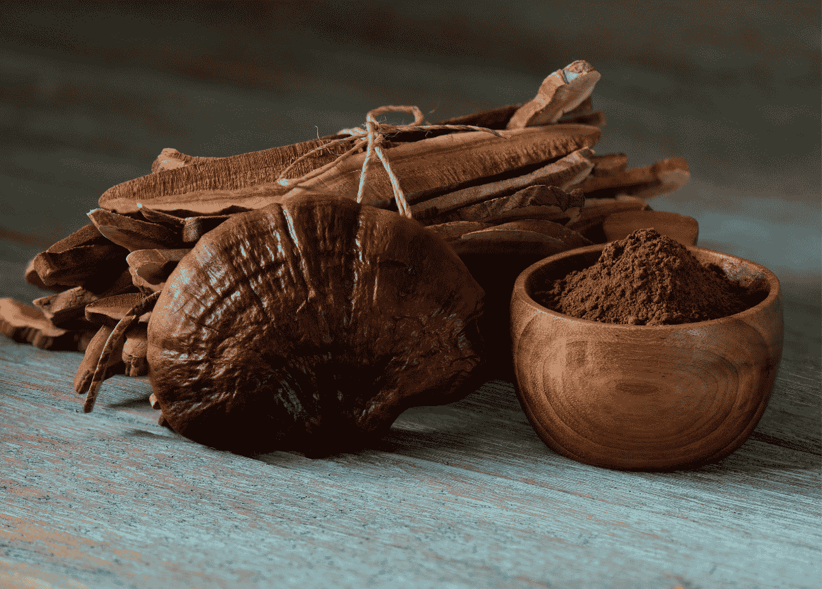 Reishi