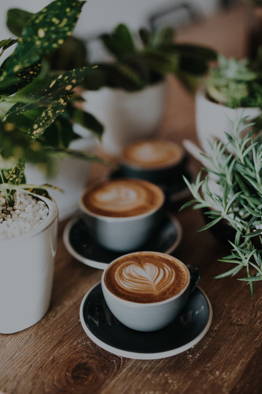 Mushroom Latte