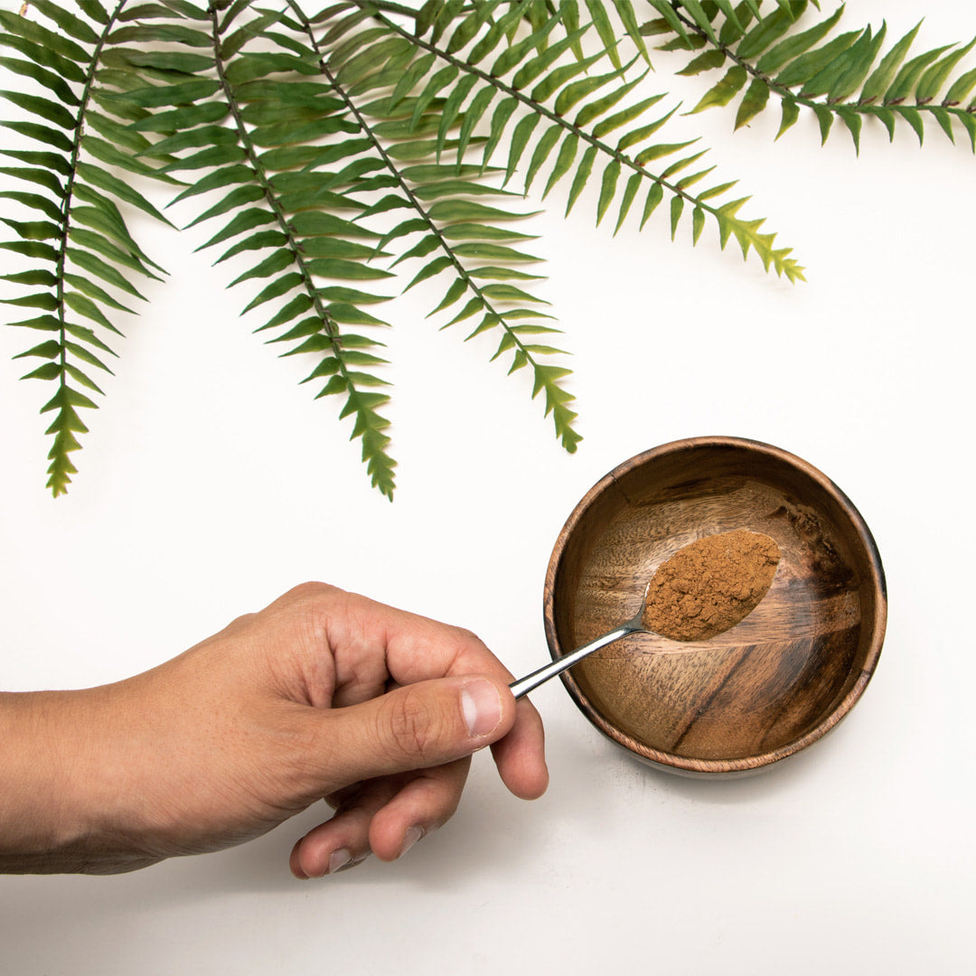 The Mushroom Elixir